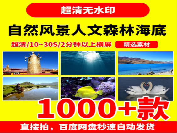 自然风景人文海底家庭视频素材高清下载-无双副业