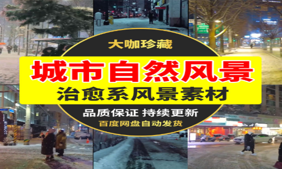 抖音街景实拍下雪视频拍摄技巧与分享-无双副业