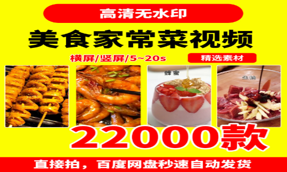 家常菜美食小吃制作视频教程-无双副业
