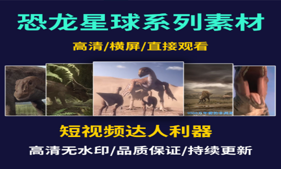 芯龙星球探索未来科技与创新-无双副业