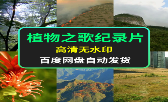 探索植物之歌：自然与生命的和谐乐章-无双副业