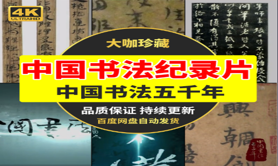 中国书法艺术纪录片赏析与传统文化传承-无双副业