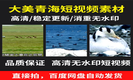 大美青海：探索高原秘境的自然与人文魅力-无双副业