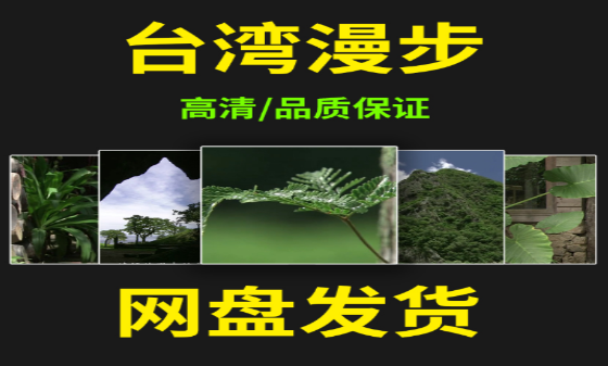 台湾散步：探索宝岛的自然与人文之美-无双副业