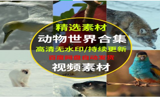 动物世界高清无水印图片下载-无双副业