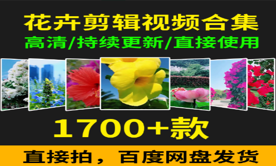 花卉剪辑视频合集大全-无双副业