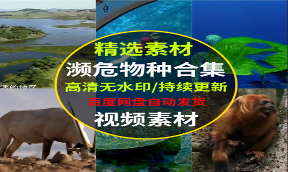 全球濒危物种保护行动与生态平衡重要性-无双副业