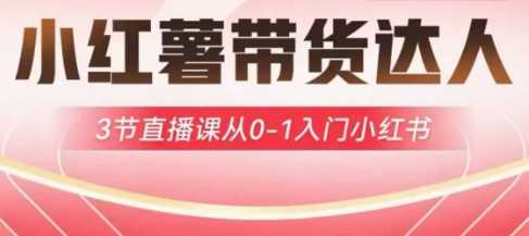 小红薯达人带货启航计划，3节直播课从0-1入门-无双副业