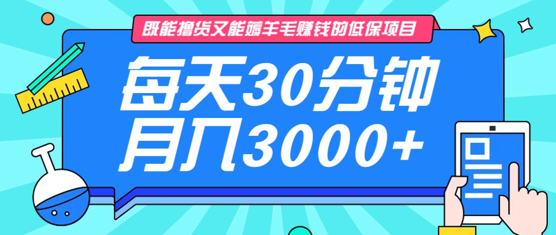 长期稳定赚钱的低保项目，每天30分钟轻松月入3000+-无双副业