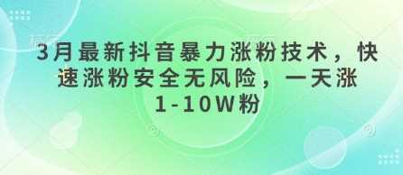 最新抖音暴力涨粉技术，快速安全一天涨1-10W粉-无双副业
