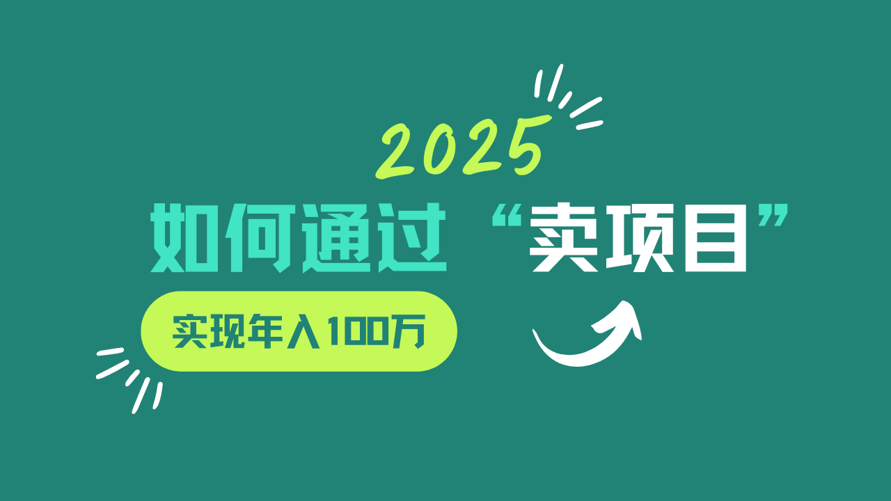 2025年通过卖项目实现年入百万的终极指南-无双副业