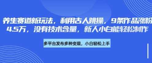 养生赛道新玩法：古人跳操轻松涨粉4.5W，适合新人小白-无双副业