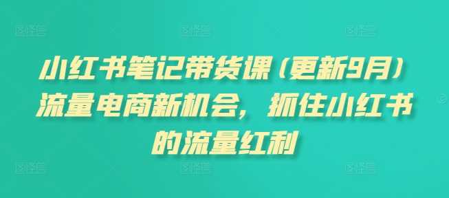 小红书笔记带货课：流量电商新机会与红利-无双副业