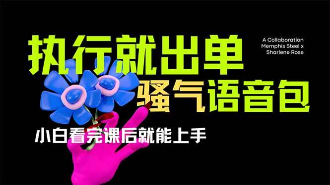 爆火全网的开车导航骚气语音包，小白看完课程就能实操-无双副业