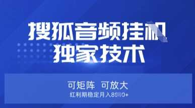 搜狐音频挂G独家技术，矩阵放大稳定月入8k-无双副业