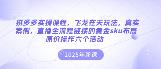 拼多多飞龙在天玩法实操课程，直播全流程与黄金SKU布局-无双副业