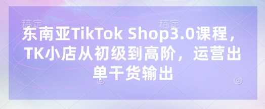 东南亚TikTok Shop从初级到高阶运营课程-无双副业