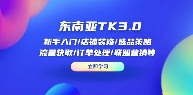 东南亚TK3.0：新手入门与店铺运营全攻略-无双副业