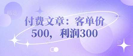 提升客单价至500元的高利润产品策略-无双副业