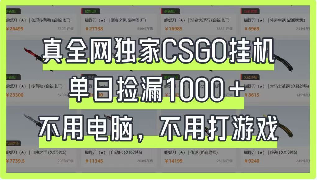 CSGO饰品掘金挂机项目，单日收益1000+-无双副业