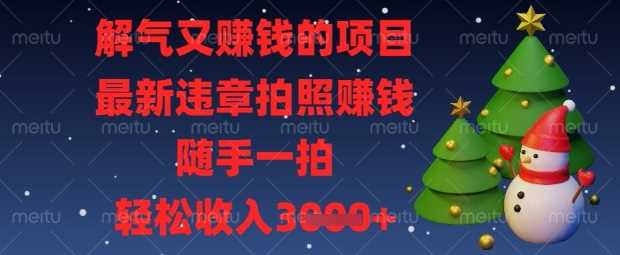 违章拍照挣钱项目揭秘，轻松收入新方法-无双副业