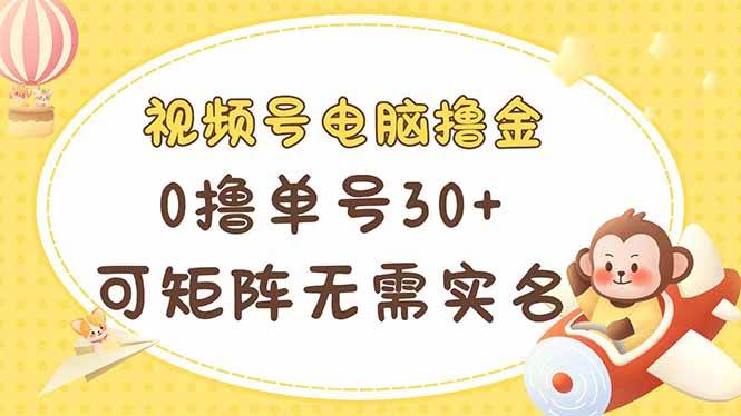 视频号电脑撸金技巧：无需实名多号操作指南-无双副业
