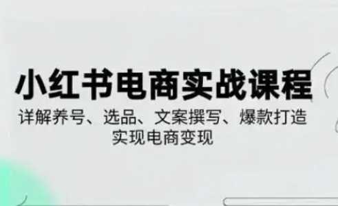 小红书电商运营实战课程，养号选品文案爆款打造变现指南-无双副业