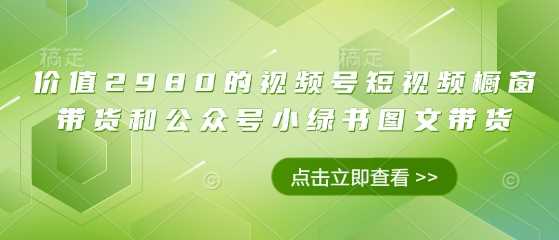 视频号短视频橱窗带货与公众号小绿书图文带货技巧-无双副业