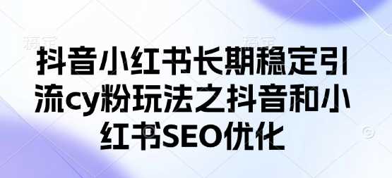 抖音小红书长期稳定引流玩法与SEO优化技巧-无双副业