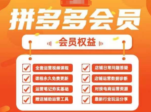 2025拼多多运营实战课：40节全流程教学-无双副业