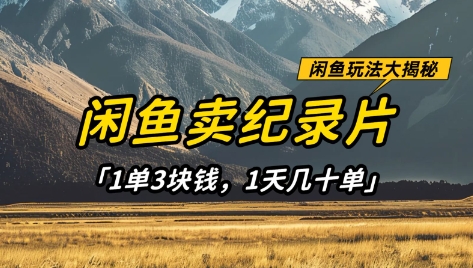 闲鱼卖纪录片项目稳定有潜力，1单3块钱日赚几十单-无双副业