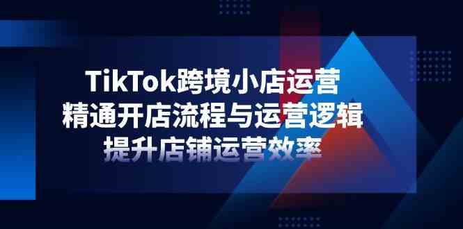 TikTok跨境小店运营全攻略：开店流程与效率提升指南-无双副业
