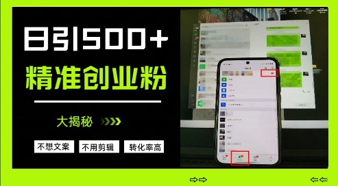 揭秘日引500+精准创业粉的引流方法-无双副业