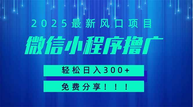 微信小程序撸广项目，日入300+可批量操作小白轻松上手-无双副业