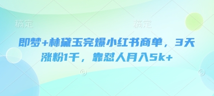 即梦林黛玉小红书商单变现攻略，3天涨粉1千月入5k-无双副业