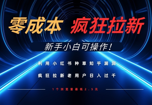 小红书种草知乎漏洞玩法，零成本拉新日入数百新手可操作-无双副业