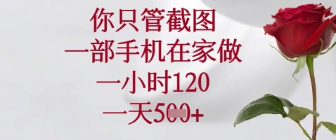 手机截图赚钱项目揭秘，在家轻松日赚600+-无双副业