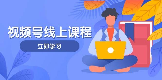 视频号轻IP打造与运营实战课程，掌握核心方法与策略-无双副业