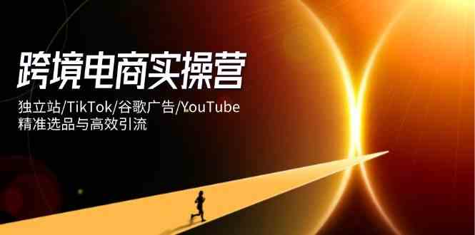 跨境电商实操营：独立站搭建与多平台高效引流课程-无双副业