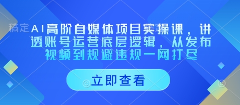 AI高阶自媒体实操课：账号运营与视频发布全攻略-无双副业
