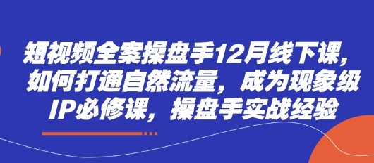 短视频全案操盘手线下课：打通自然流量打造现象级IP-无双副业