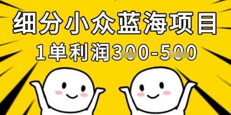 细分小众蓝海项目，高利润稳定月收入过万-无双副业