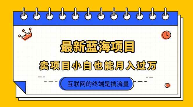 2025年最新蓝海项目，小白也能月入过万-无双副业