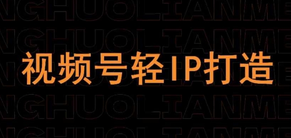 视频号线上课程与轻IP打造实战指南-无双副业