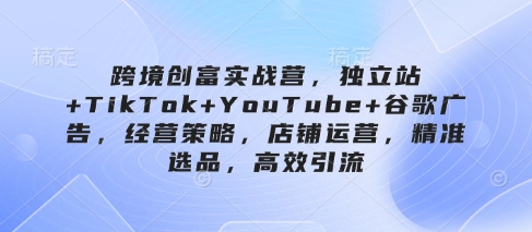 跨境创富实战营，独立站经营策略与引流技巧-无双副业