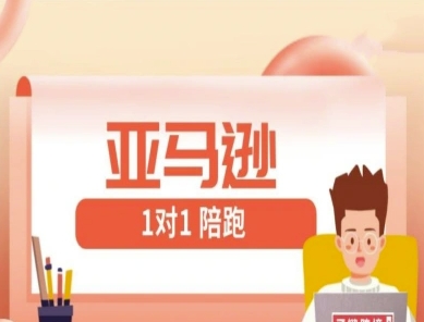 亚马逊FBA/FBM精铺跨境运营1对1陪跑课程-无双副业