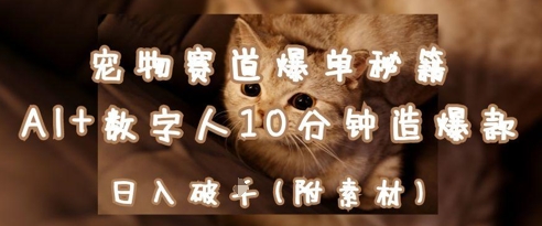AI+数字人打造宠物爆款视频，轻松日入千元-无双副业