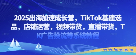 2025出海加速成长营：TikTok选品运营与广告投流系统教程-无双副业