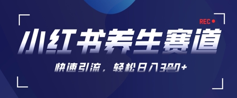 AI生成小红书养生作品教程，新手快速起号矩阵操作日入300+-无双副业