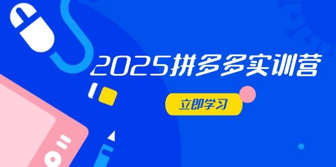 2025拼多多实训营：深度剖析运营关键，助力电商人快速提升-无双副业
